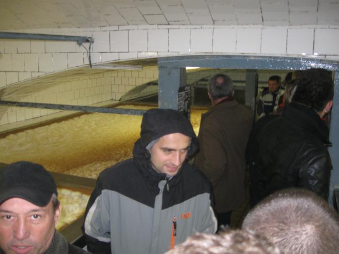 IMG 0746